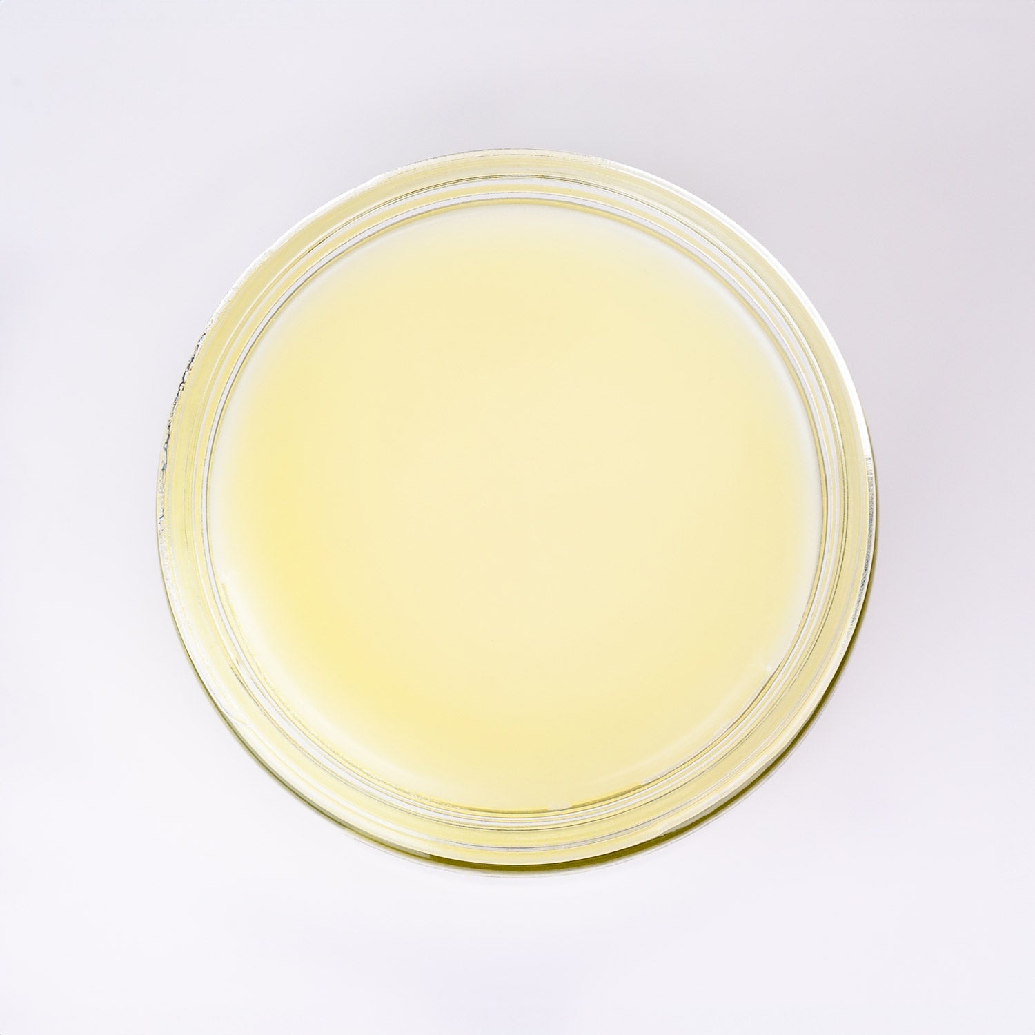 White Label Unscented Tallow Balm (2oz or 9oz) – All-Natural Skincare Base | Private Label Ready | Pure Beef Tallow, Jojoba, Olive & Beeswax