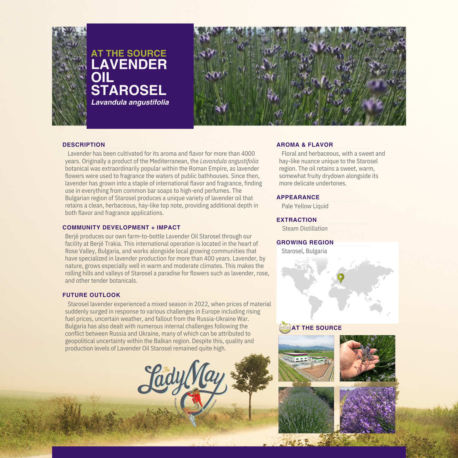 Lavender Tallow Gift Set - Premium Relaxation Bundle | Skincare, Candle &amp; Soap