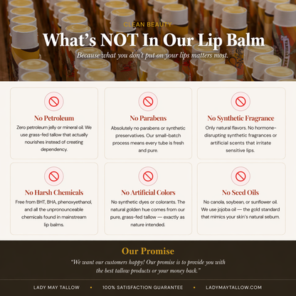 Lip Balm Bundle– 5 Natural Flavors | Handcrafted with Beeswax &amp; Jojoba Oil