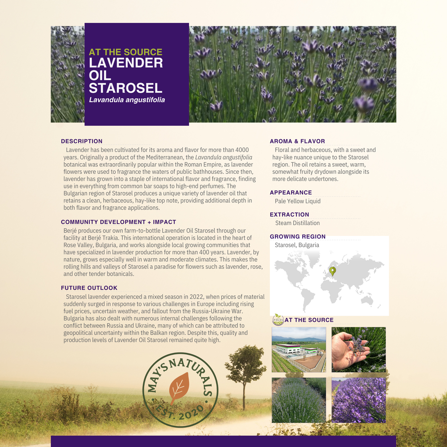 White Label Lavender Whipped Tallow (9oz) – All-Natural | Private Label Skincare by May’s Naturals