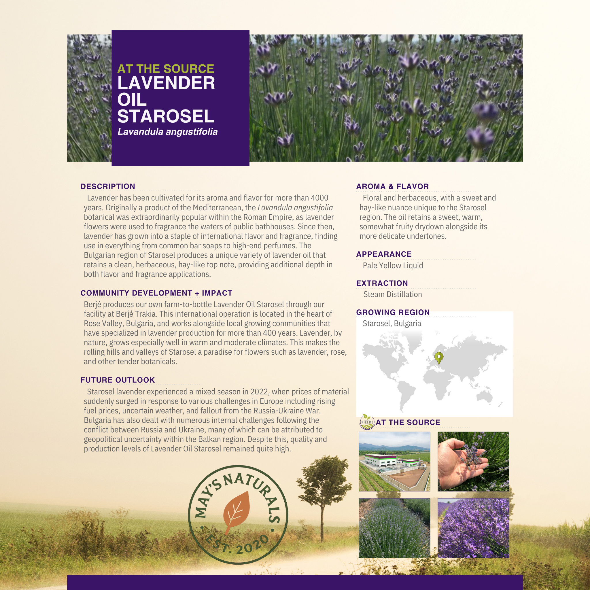 White Label Lavender Whipped Tallow (9oz) – All-Natural | Private Label Skincare by May’s Naturals