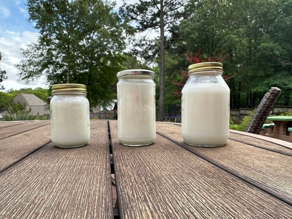 Unscented Beef Tallow - 2 Pounds